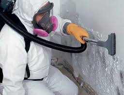 Mold Odor Removal Services in Wilmerding, PA